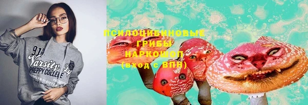 ГАЛЛЮЦИНОГЕННЫЕ ГРИБЫ Волосово